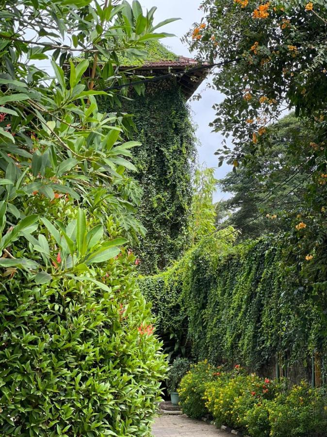 Udf Nature Villa Kandy Exterior foto